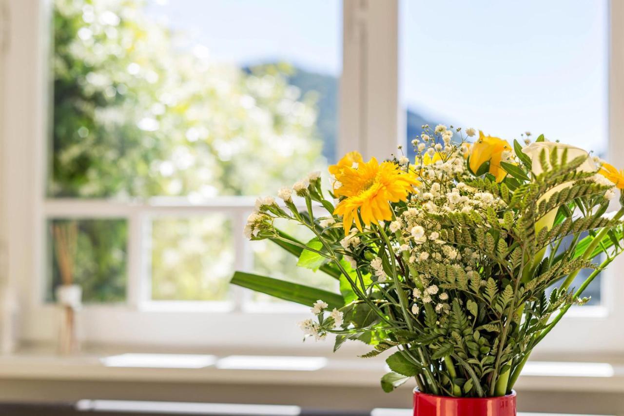 Garden Vista Lago Комо Екстериор снимка